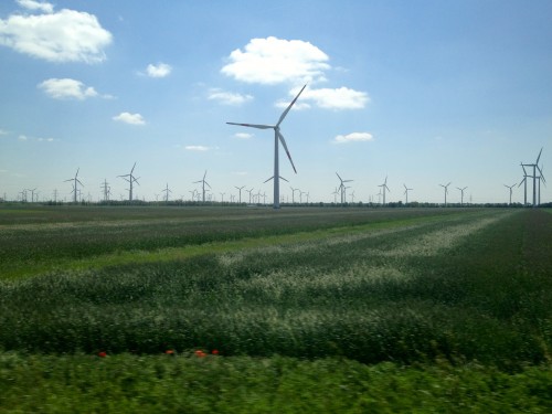 Windmills stretching across the flat green Hungarian Plains with a bright blue sky behind